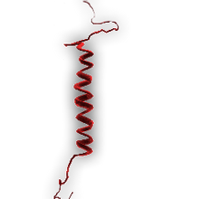 Prion Plague Inc Wiki Fandom