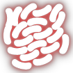 plague inc strategy bacteria