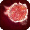 Scenario nipah virus