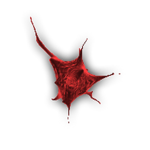 Fungus Plague Inc Wiki Fandom