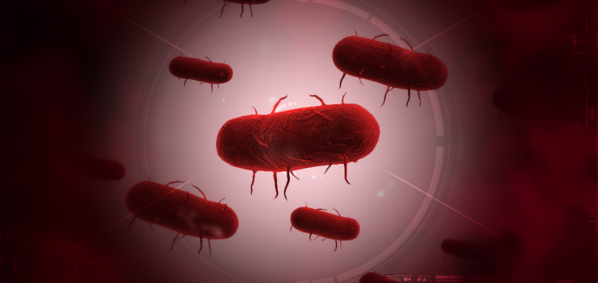 plague inc evolved bacteria mega brutal guide