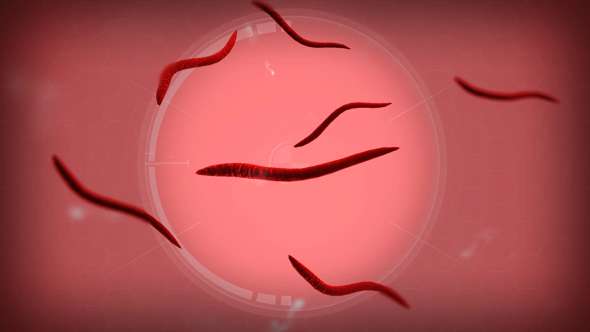 image-parasite-jpg-plague-inc-wiki-fandom-powered-by-wikia