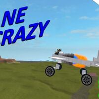 The Types Of Players Plane Crazy Wiki Fandom