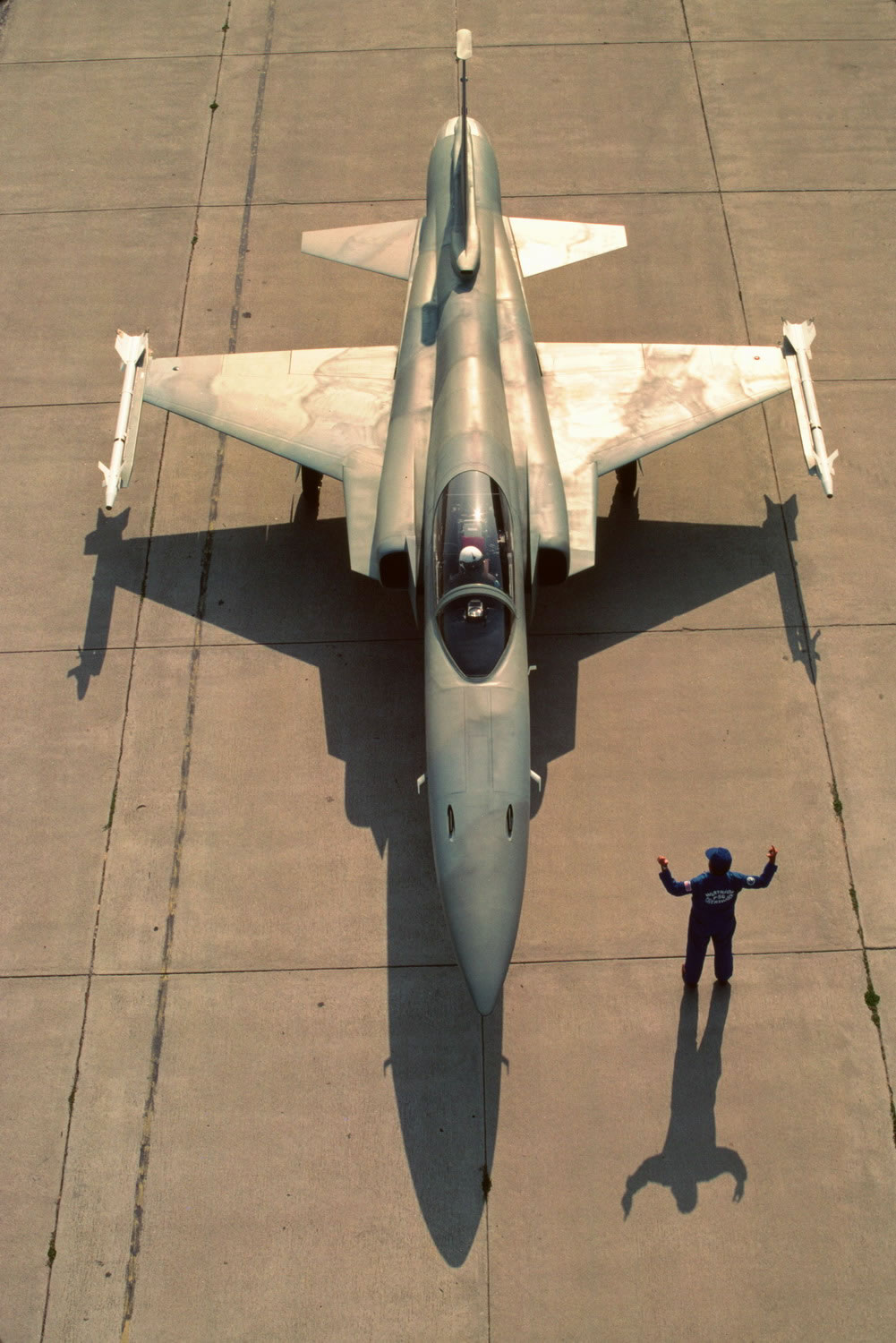 Plane Fighting Games >> Northrop Grumman F-20A Tigershark | Planes and Mercs Wiki | FANDOM powered by Wikia Plane Fighting Games >> Northrop Grumman F-20A Tigershark | Planes and Mercs Wiki | FANDOM powered by Wikia