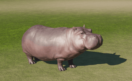 Hippo_Yawning.gif
