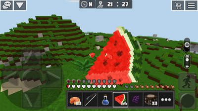 Melon