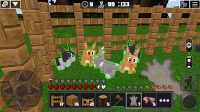 Rabbit2