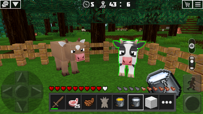 Cow