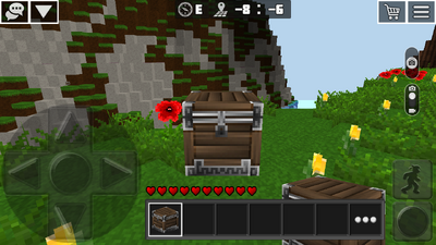 Chest