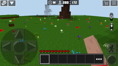 Flower field