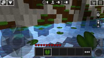Lily pads