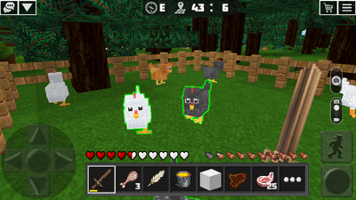 Chicken2