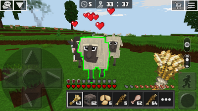 Sheep breeding