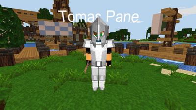 Iron armor set