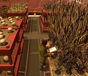 Biologiste