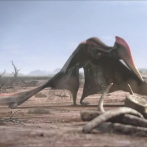 Pterosaur Planet Dinosaur Wiki Fandom