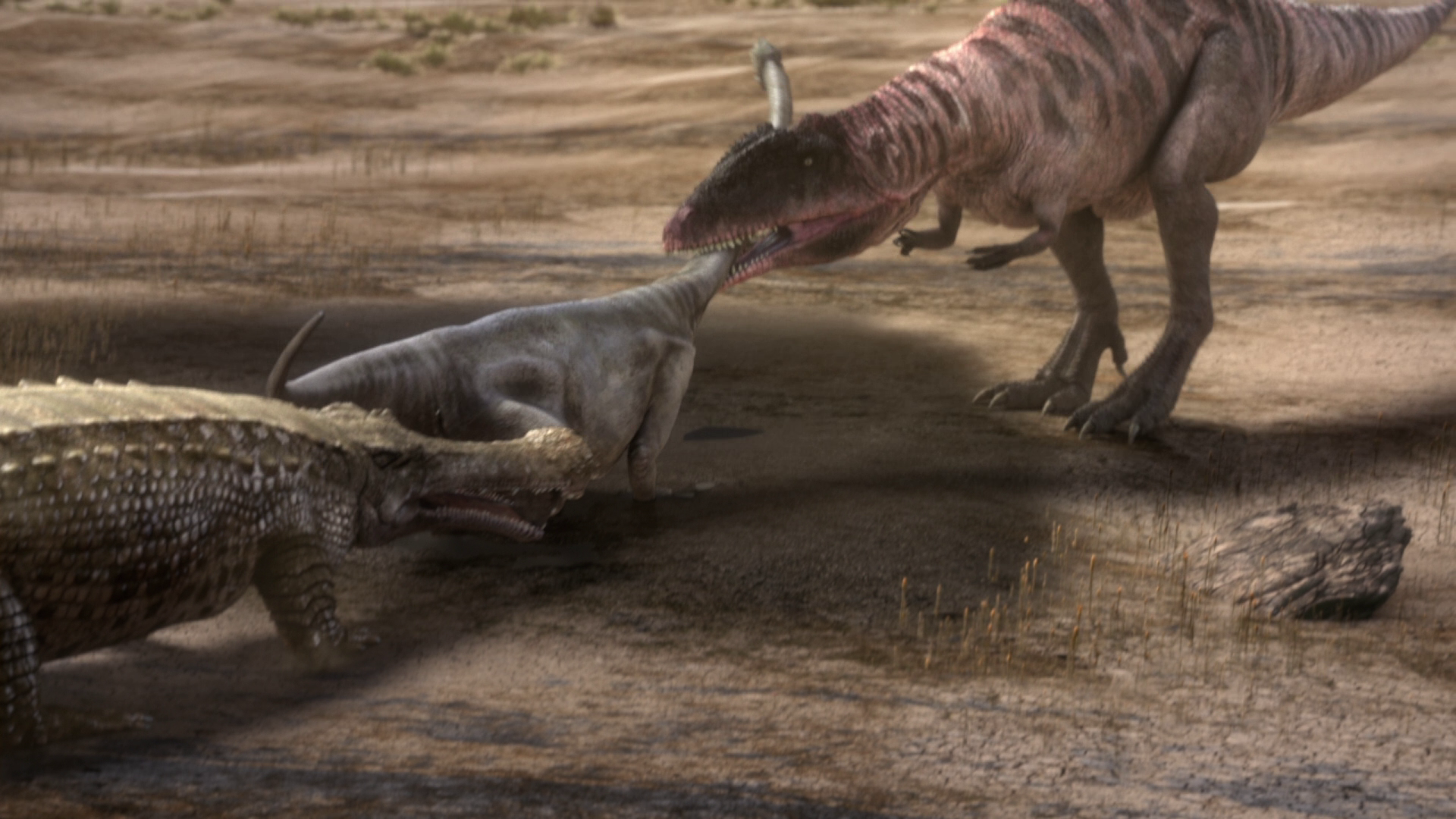 planet dinosaur carcharodontosaurus
