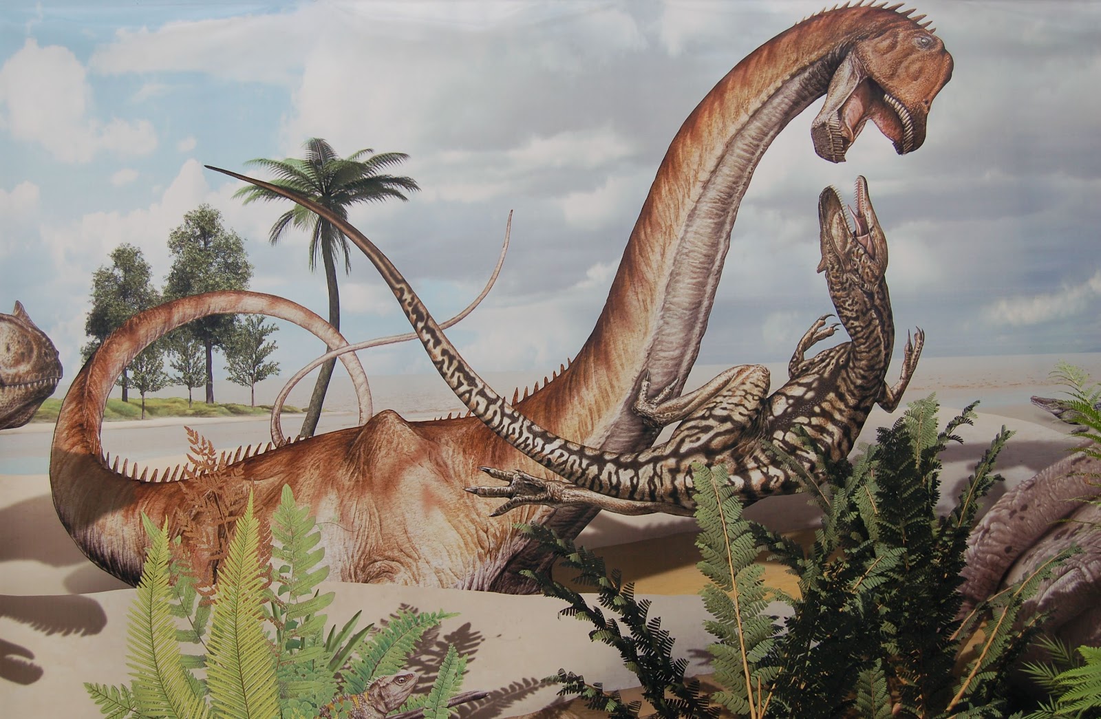 Sauroposeidon | Planet Dinosaur Wiki | FANDOM powered by Wikia