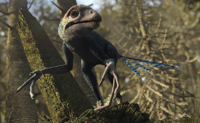 microraptor planet dinosaur