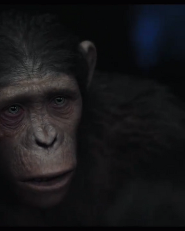 Blue Eyes Ce Planet Of The Apes Wiki Fandom