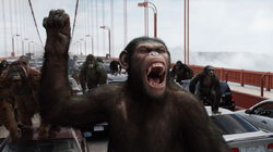Caesar Leading the Ape Army HD