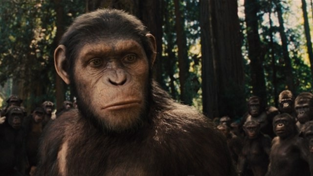 Buckrelationships Planet Of The Apes Wiki Fandom Powered By Wikia