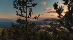 Caesar Watching San Francisco