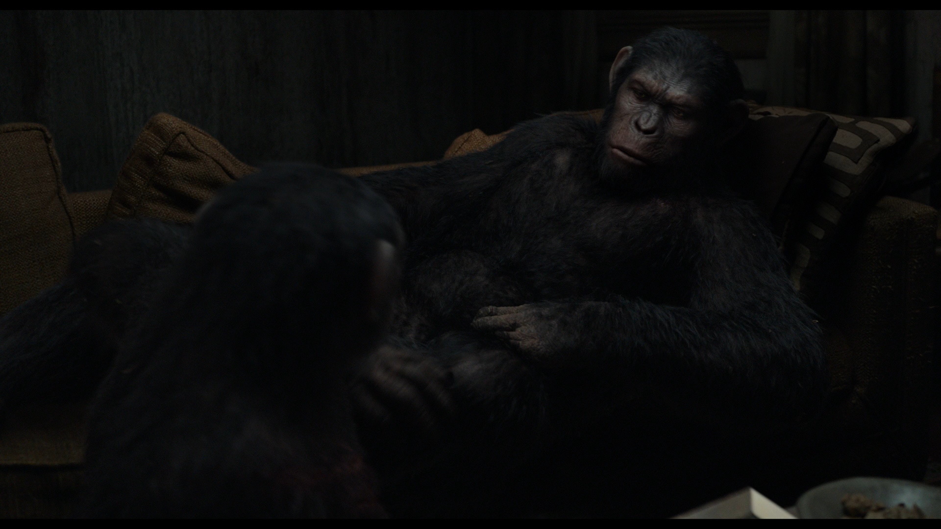 Image Caesar & Blue Eyes at Will's house.png of the Apes