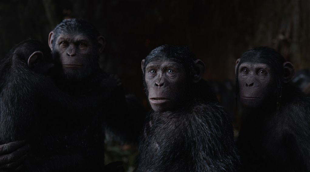 Caesars Family Ce Planet Of The Apes Wiki Fandom Powered By Wikia