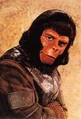 Image - Cornelius.jpg | Planet of the Apes Wiki | FANDOM powered by Wikia