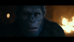 WPOTA Caesar 2