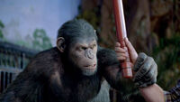 Serkis gallery 11 2011 a l 0