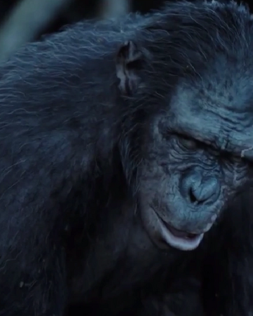 Chimpanzee With Gun Meme Generator Imgflip