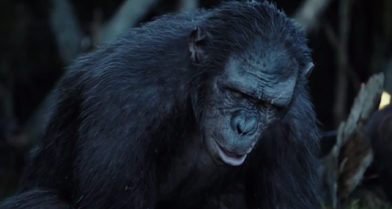 dawn of the planet of the apes full movie with subtitles