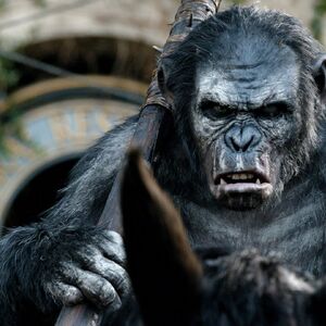 Koba Gallery Planet Of The Apes Wiki Fandom