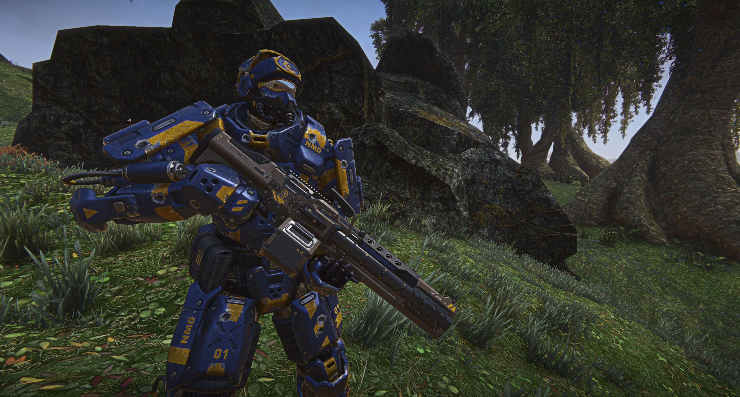 Planetside 2 best nc weapons permit