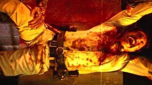 Tolo before his death