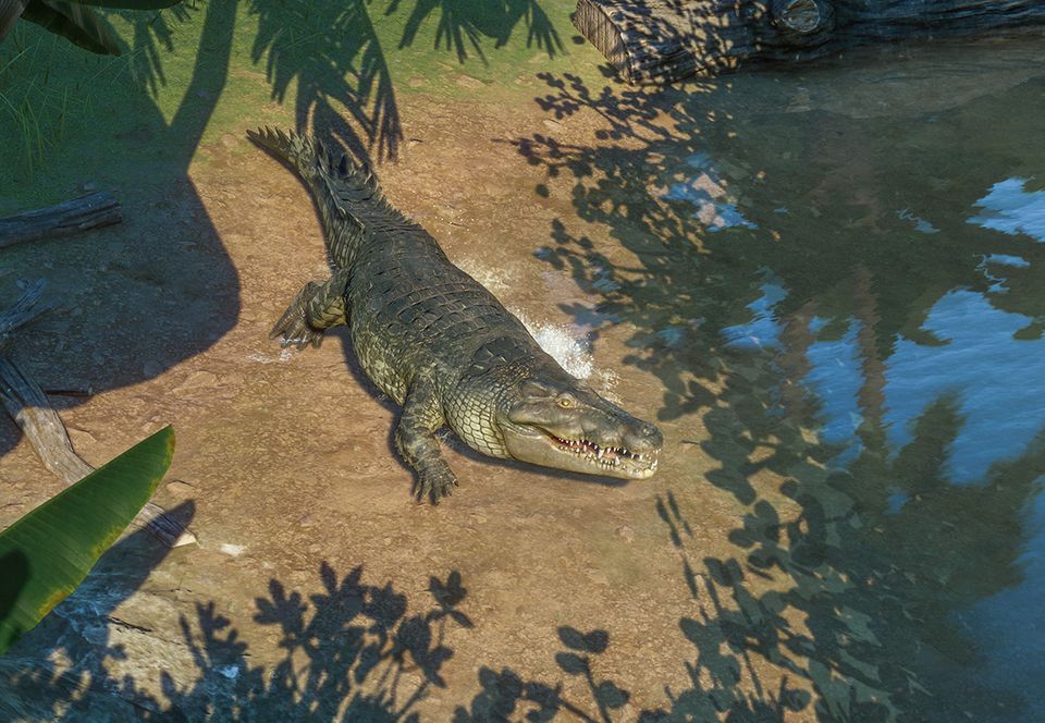 planet zoo southeast asia pack planet zoo southeast asia pack
