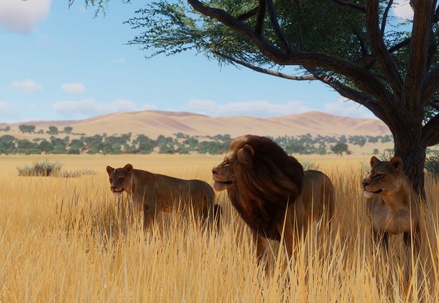 León del África Occidental | Planet Zoo Wiki | Fandom