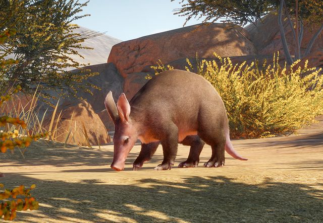 Aardvark | Planet Zoo Wiki | Fandom