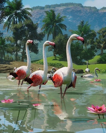 Greater Flamingo Planet Zoo Wiki Fandom