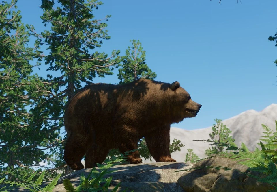 Himalayan Brown Bear | Planet Zoo Wiki | Fandom