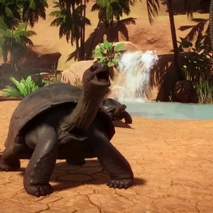 Aldabra Giant Tortoise Planet Zoo Wiki Fandom