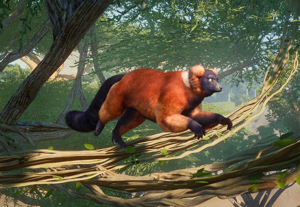 planet zoo southeast asia pack planet zoo southeast asia pack