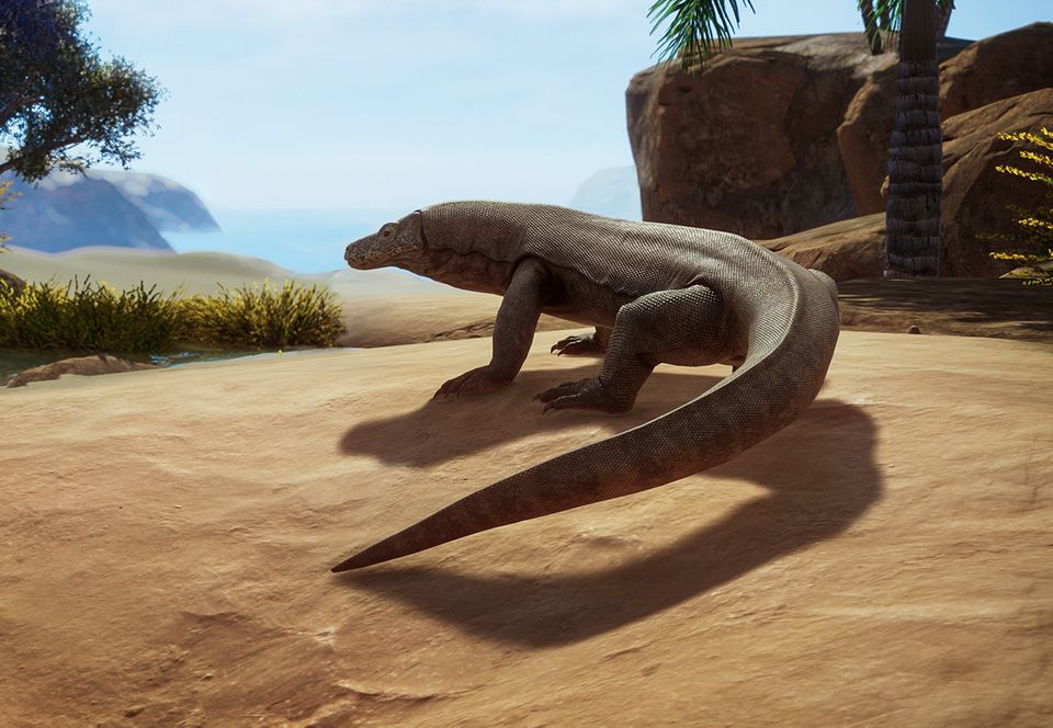 CategoryLizards Zoo Wiki Fandom