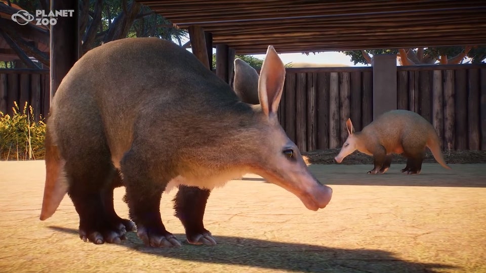 https://vignette.wikia.nocookie.net/planetzoo/images/5/5f/Aardvark.jpg/revision/latest?cb=20190830110338