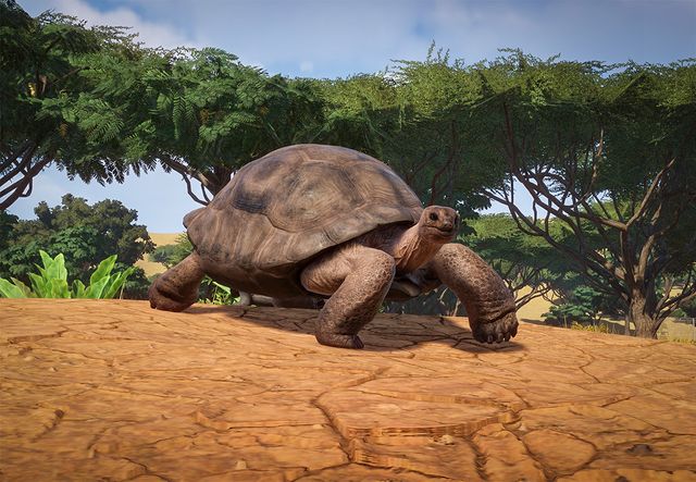 planet zoo hard shelter planet zoo hard shelter