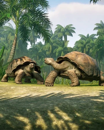 Galapagos Giant Tortoise Planet Zoo Wiki Fandom