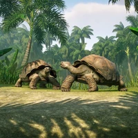 Galapagos Giant Tortoise Planet Zoo Wiki Fandom