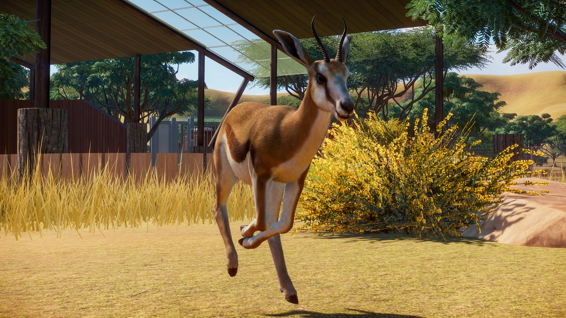 Springbok Zoo Wiki FANDOM powered by Wikia